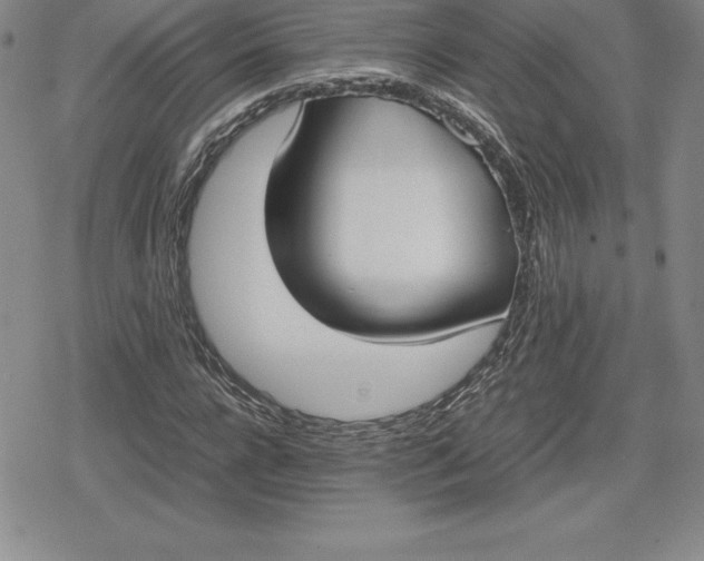 X0000080170920200612221247