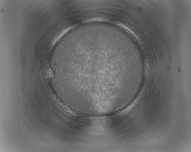 X0000080170921200612221247