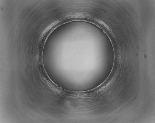 X0000080170922200612221247