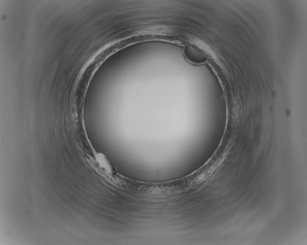 X0000080170923200612221247