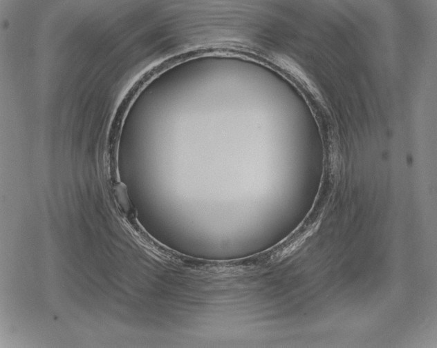 X0000080170924200612221247