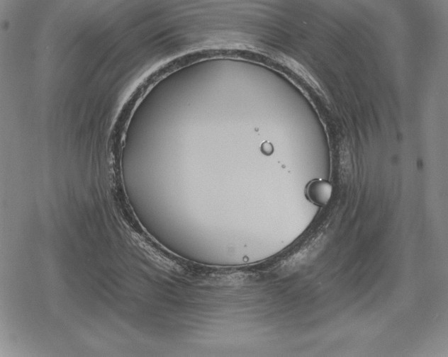 X0000080170926200612221247