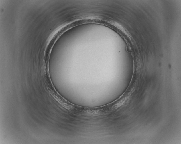 X0000080170927200612221247