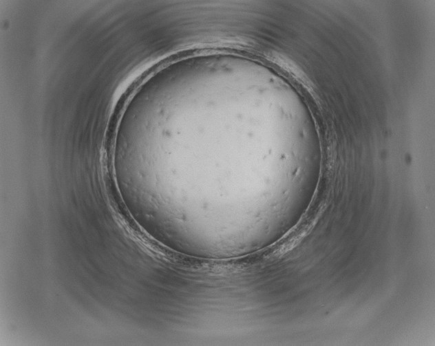 X0000080170928200612221247