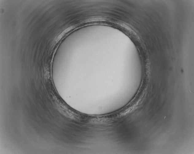 X0000080170929200612221247