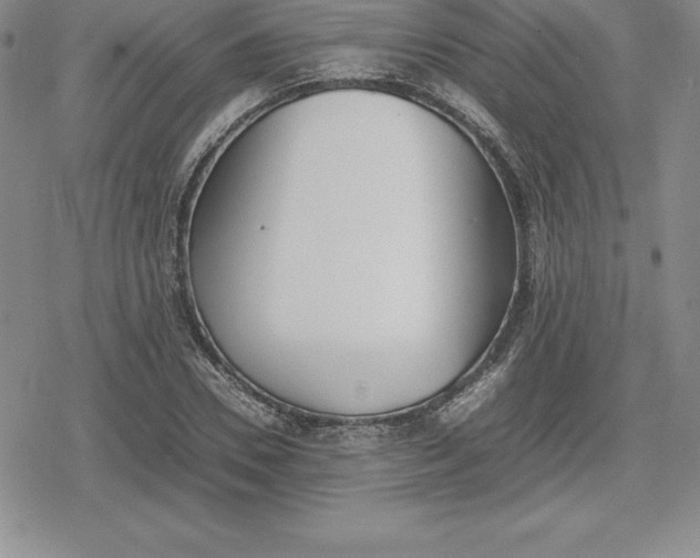 X0000080170930200612221247