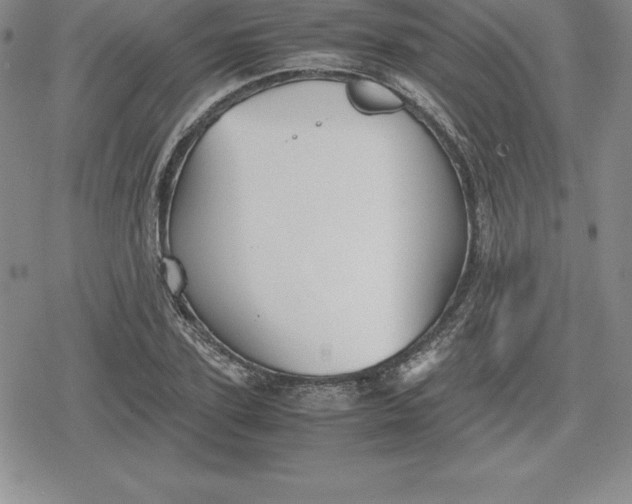 X0000080170931200612221247