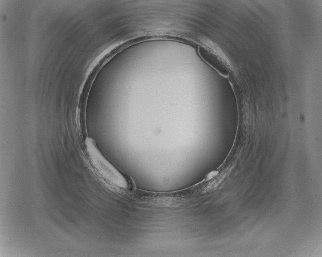 X0000080170932200612221247