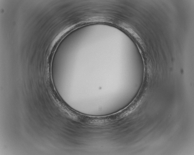 X0000080170933200612221247