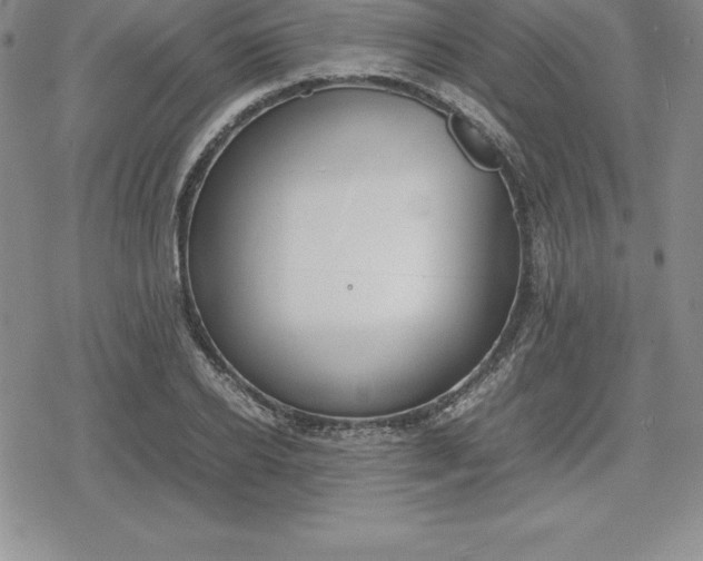 X0000080170934200612221247