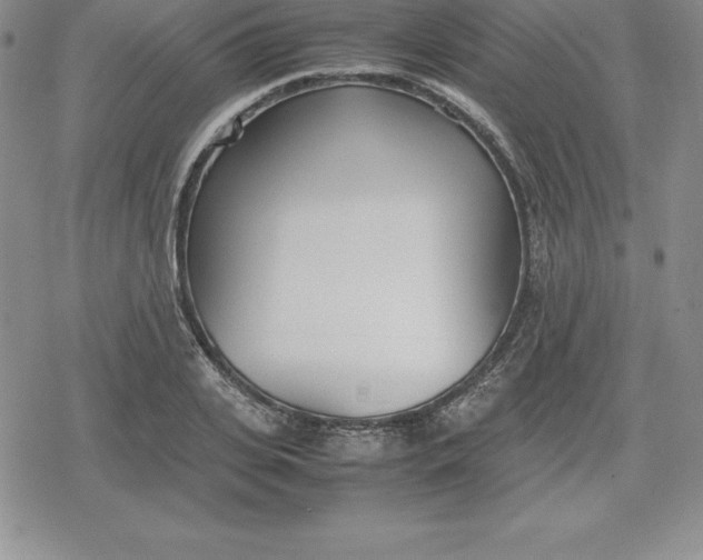 X0000080170935200612221247