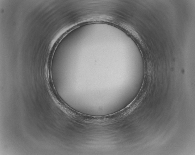 X0000080170936200612221247