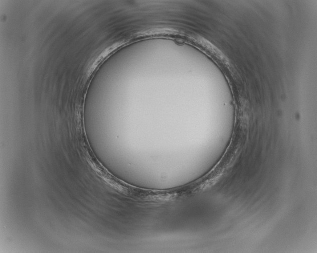 X0000080170937200612221247