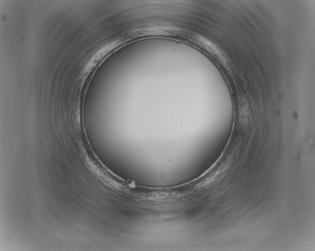 X0000080170938200612221247