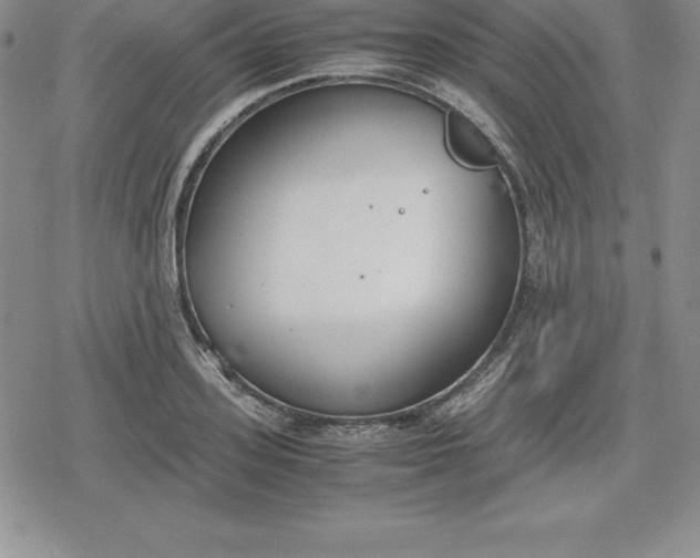 X0000080170939200612221247