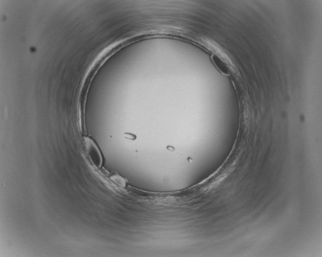 X0000080170940200612221247