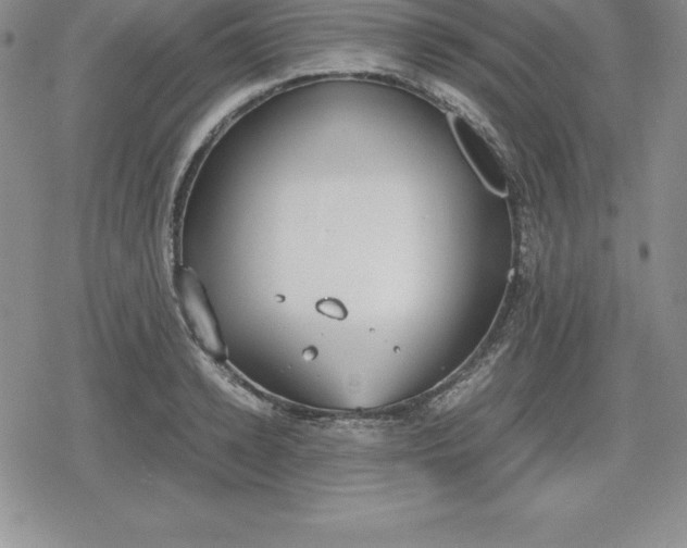 X0000080170942200612221247