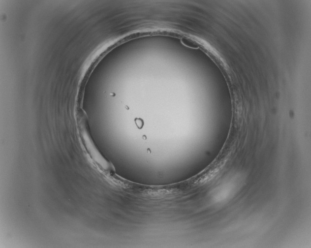 X0000080170943200612221247