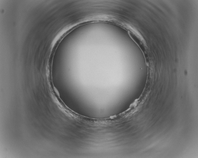 X0000080170944200612221247