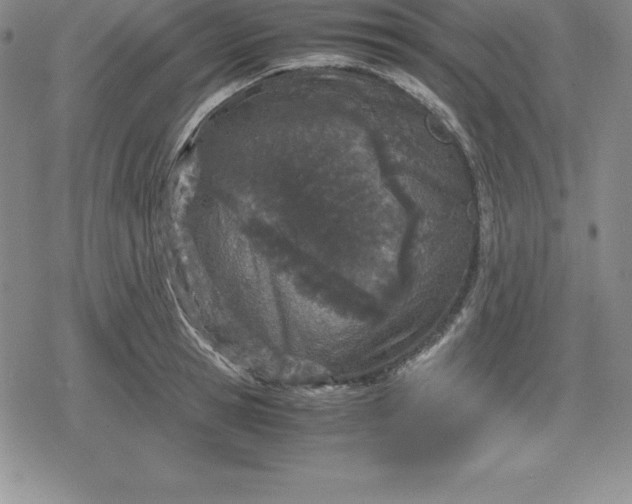 X0000080170945200612221247