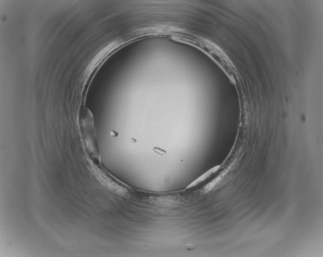 X0000080170946200612221247