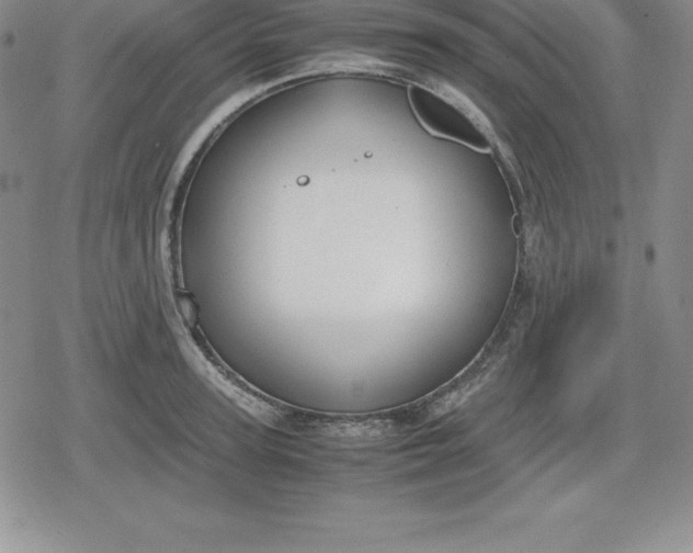 X0000080170947200612221247