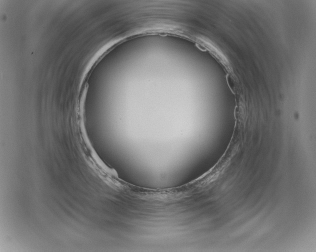 X0000080170948200612221247