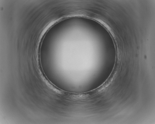 X0000080170949200612221247