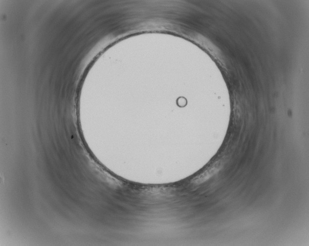 X0000080170950200612221247