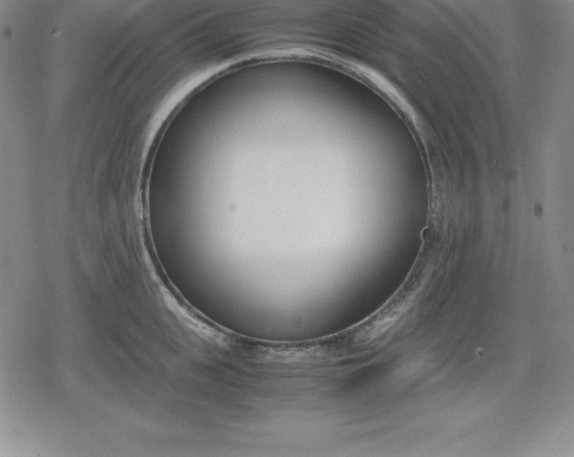 X0000080170951200612221247