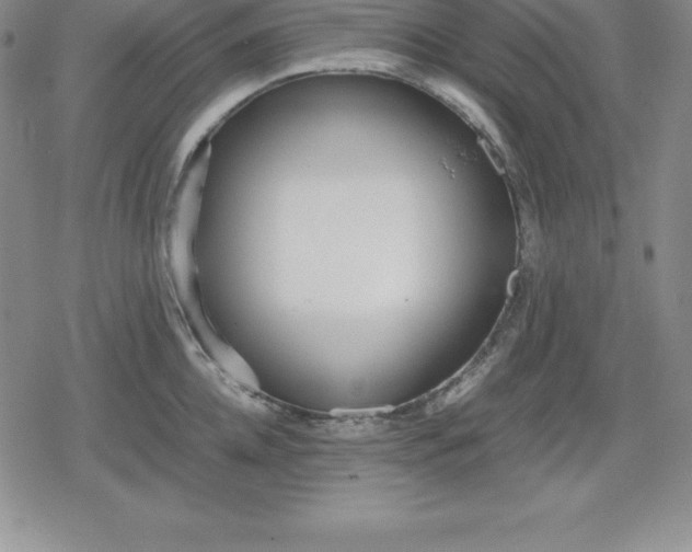 X0000080170952200612221247