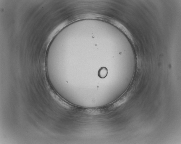 X0000080170954200612221247