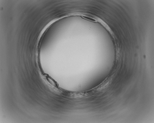 X0000080170955200612221247