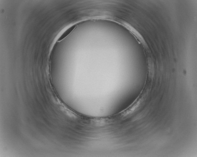 X0000080170956200612221247