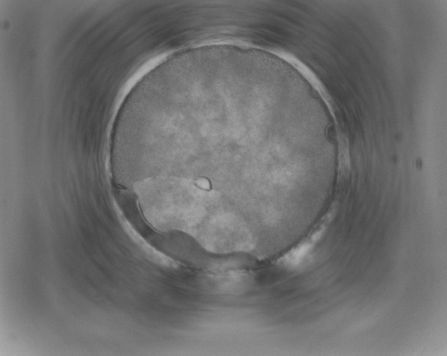 X0000080170957200612221247