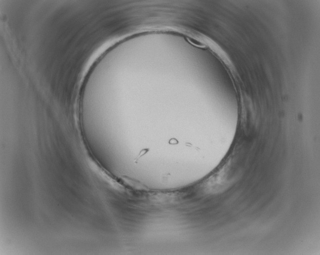 X0000080170958200612221247