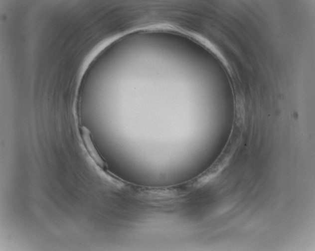 X0000080170959200612221247