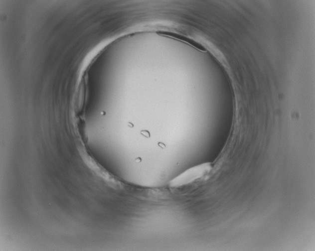 X0000080170960200612221247