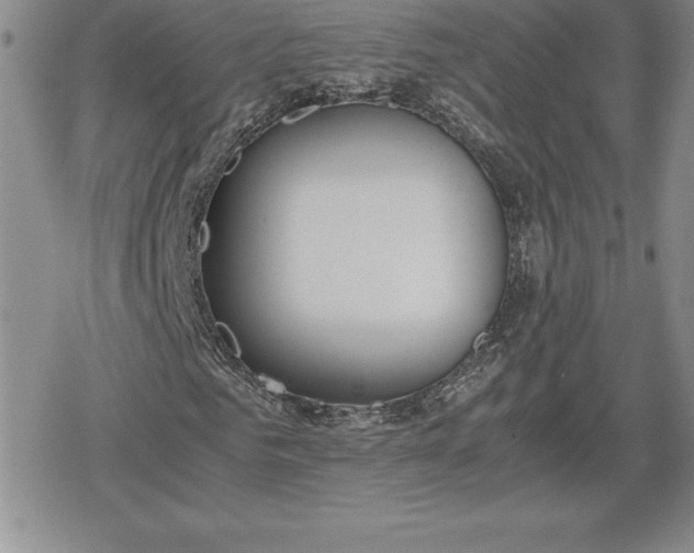 X0000080170961200612221247