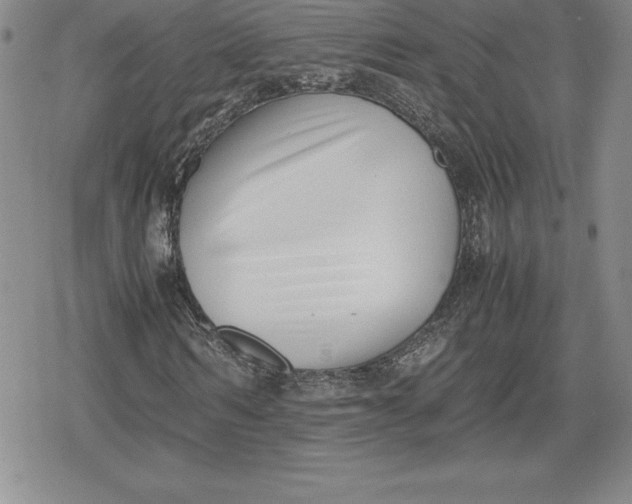 X0000080170962200612221247