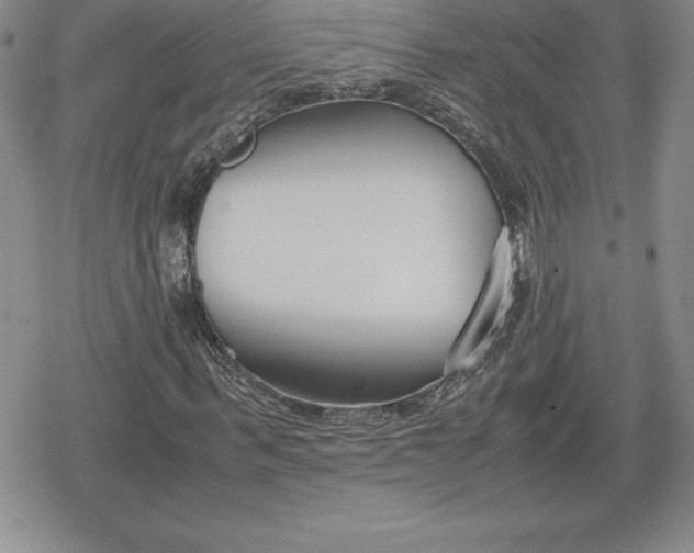 X0000080170963200612221247