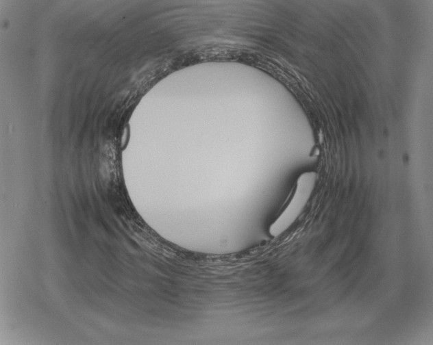 X0000080170964200612221247