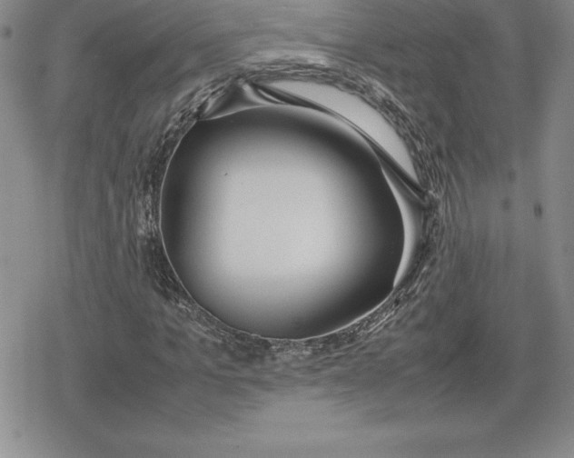 X0000080170965200612221247