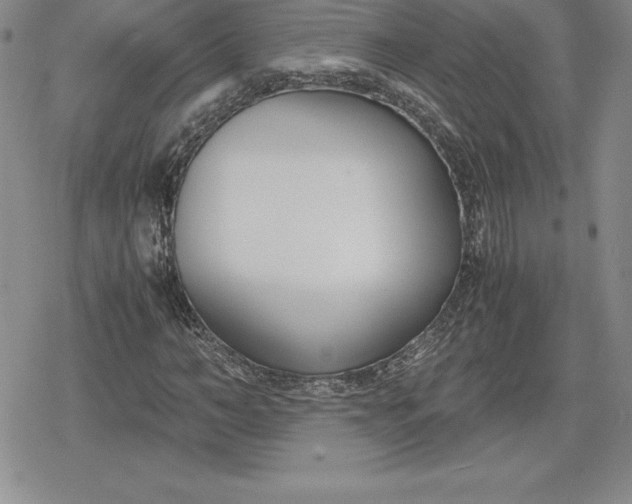 X0000080170966200612221247