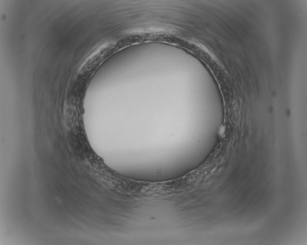 X0000080170967200612221247