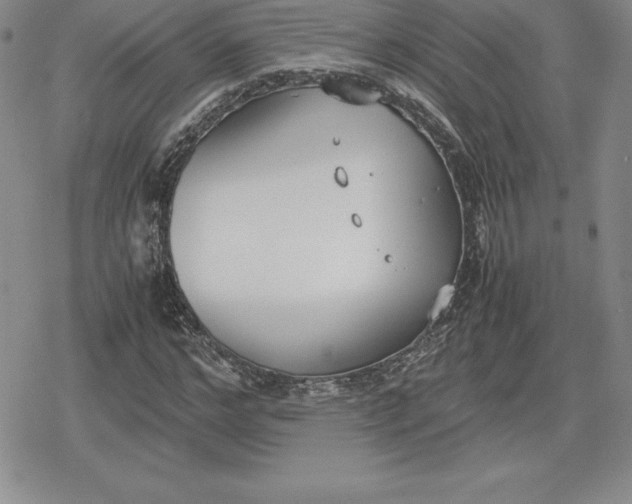 X0000080170968200612221247