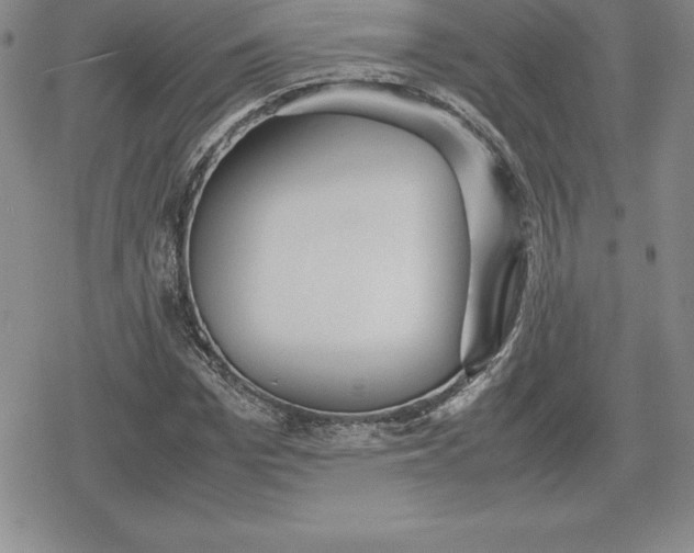 X0000080170969200612221247