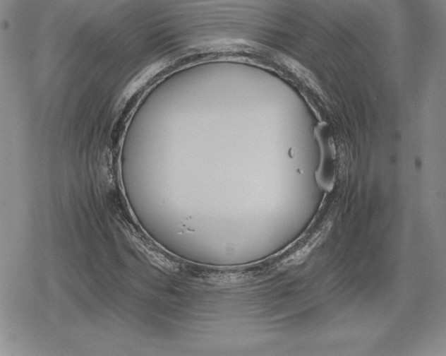 X0000080170970200612221247