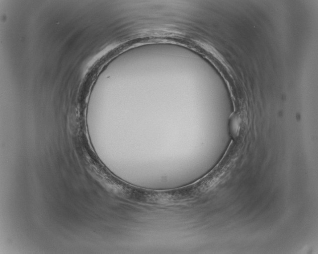 X0000080170971200612221247