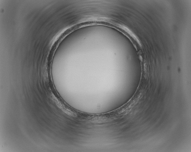 X0000080170972200612221247